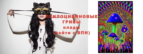 экстази Гусь-Хрустальный