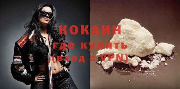 амф Гусев