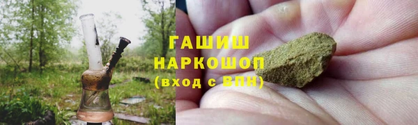 амф Гусев