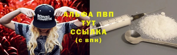 амф Гусев