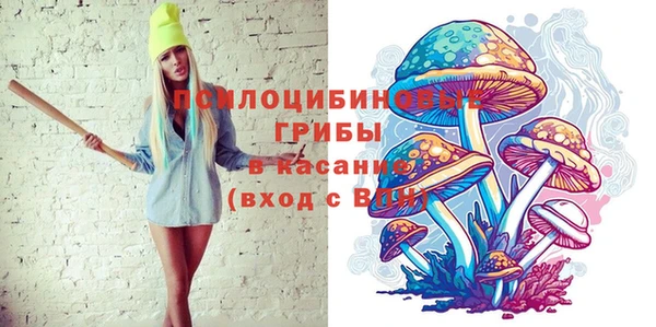 амф Гусев
