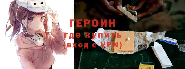 амф Гусев
