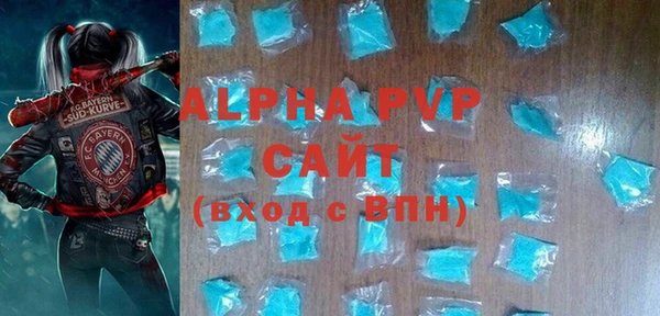 амф Гусев