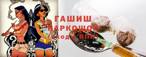 амф Гусев
