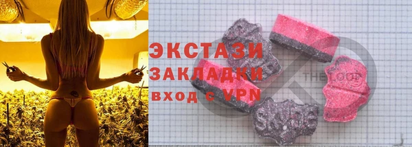 амф Гусев