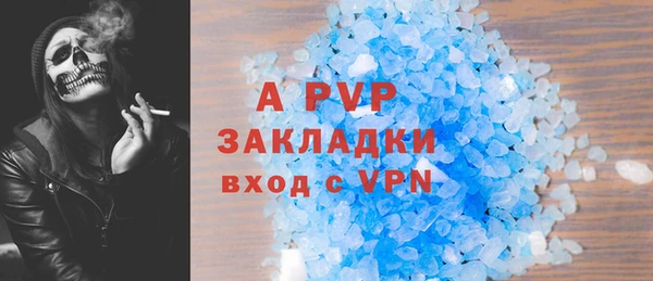 амф Гусев