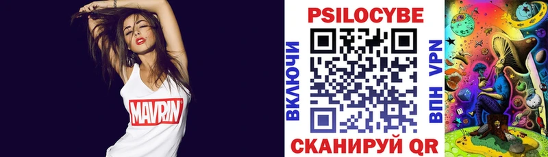 Псилоцибиновые грибы GOLDEN TEACHER  цена   Москва 